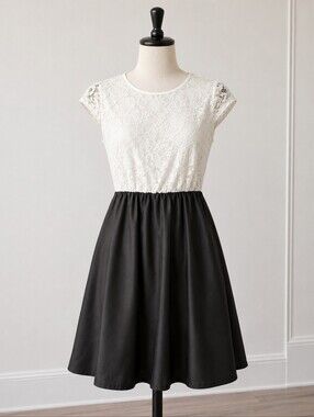 Black & White Lace Top Fit & Flare Dress